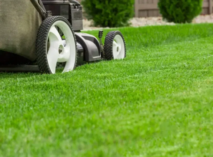 Getting Your Lawn Ready for Spring Getting Your Lawn Ready for Spring
